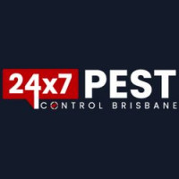 Flea Removal Brisbane