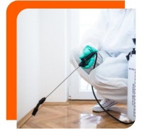 Cockroach Control Canberra