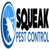 Pest Control Service Perth