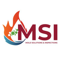 Mold Solutions & Inspections LLC