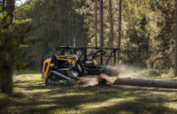 Georgia Brush Mulching