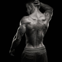 Best SARMs for Bulking: Top Choices for Maximum Muscle Growth