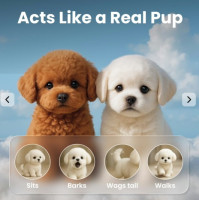 Wuffy Robot Dog: How It Teaches Kids Responsibility