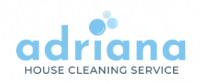 home cleaner