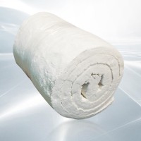 Aluminium Silicate Roll Felt95