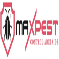 Bee Exterminator Adelaide