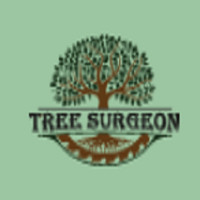 Tree Surgeon