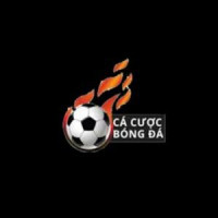 Trang Cá Cược Bóng Đá