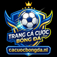 cacuocbongdanl