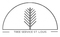 The STL Tree Pros