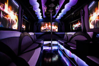 35 Passenger Party Bus