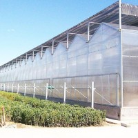 PolyCarbonate PC Green Houses7