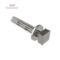 Flange Immersion Heaters96