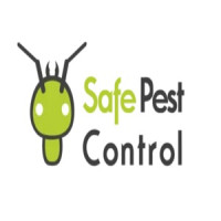 Rodent pest control Sydney