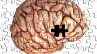 Seven Things Your Boss Needs To Know About Brain Memory Power