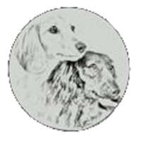 Honeyman's Miniature Dachshunds