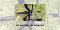 Best deer feeder