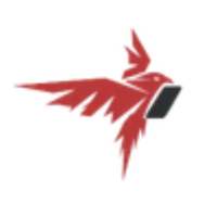 Falcon FiTech - Software development company in Dubai