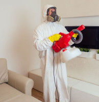 Shinex Care Pest Control & Termite Treatment