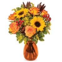 Same Day Flower Delivery Washington DC