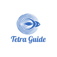 Tetra guide