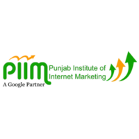 PIIM Website Designing Course in Patiala with Real-World Training