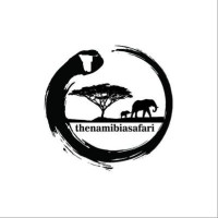 The Namibia Safari