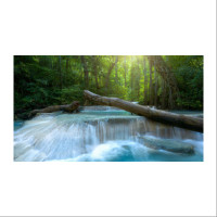 Santa Fe Hypnotherapy by Roman