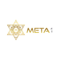 META 1 Coin