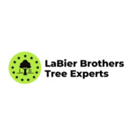 LaBier Brothers Tree Experts