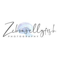 Zebrajellyfish Photography