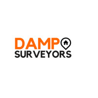 damp surveyors