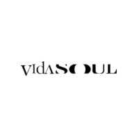 Hotel Vidasoul