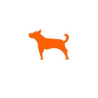 motowatchdogcom