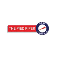 thepiedpiper