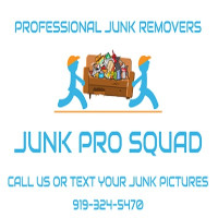 Junk Pro Squad