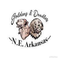 Southernbrewedgoldens