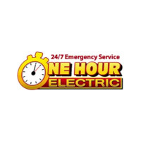 One Hour Electric