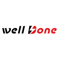 Welldone Power Technology Transformer Manufacturer
