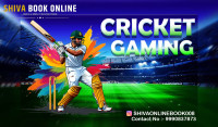 Stay Updated: The Latest Features of Shiva Online ID for Cricket Enthusiasts.