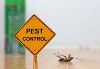 Pest Control Cranbourne