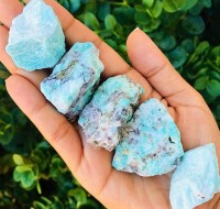 Rocksolidfossils