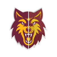 Embroidery digitizing By Idigitize