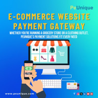 Best E-Commerce Payment Gateway System Provider in India