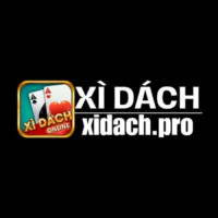 xidachpro