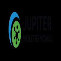 Jupiter Mold Removal