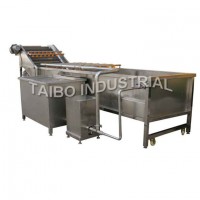 Leaf Vegetable Washing Machine5