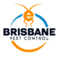 E Possum Removal Brisbane