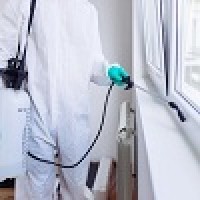 Cockroach Control Perth