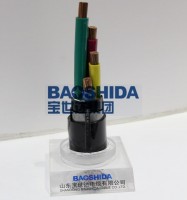 XLPE Insulated Power Cable62